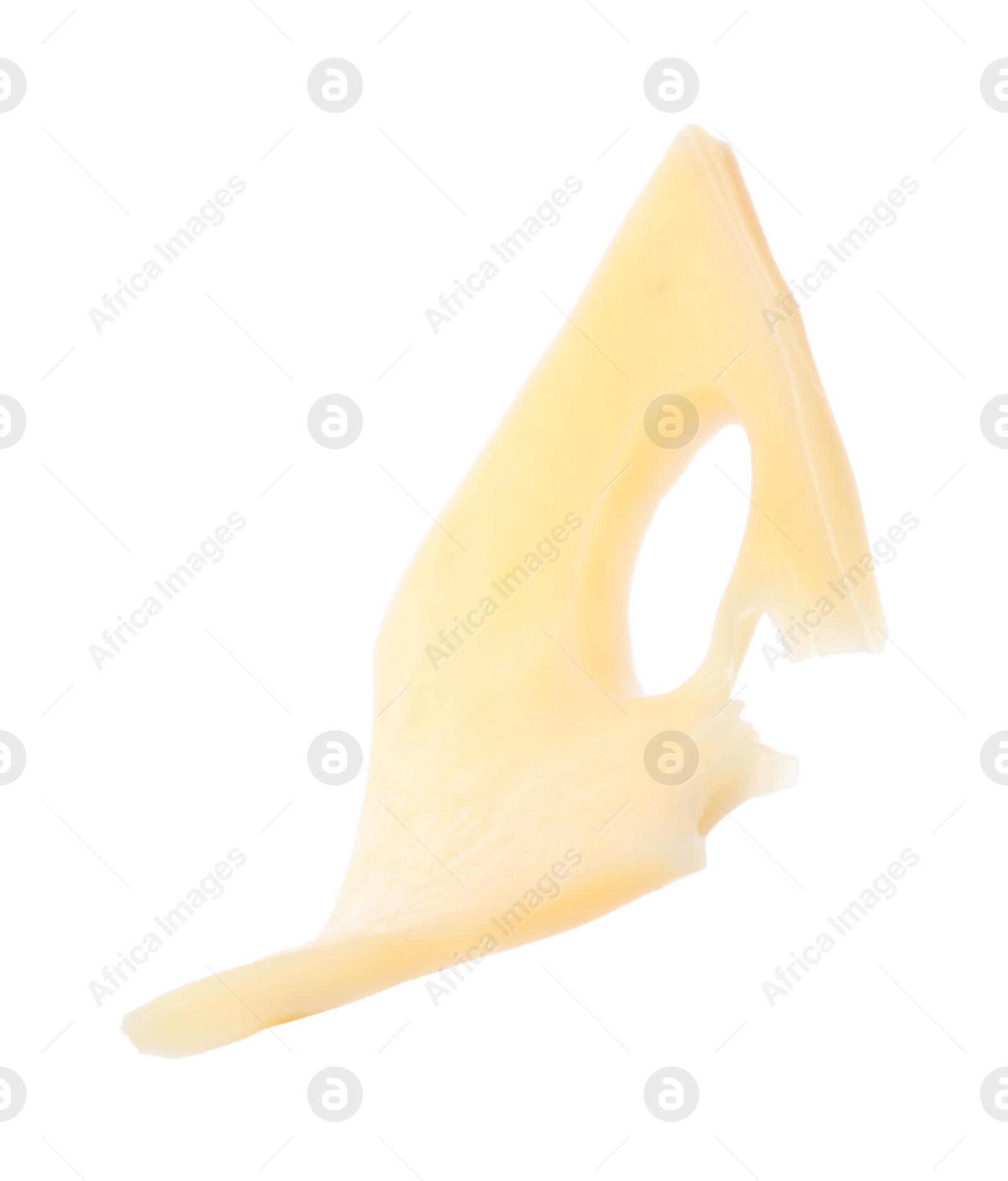 Photo of Piece of tasty cheese isolated on white