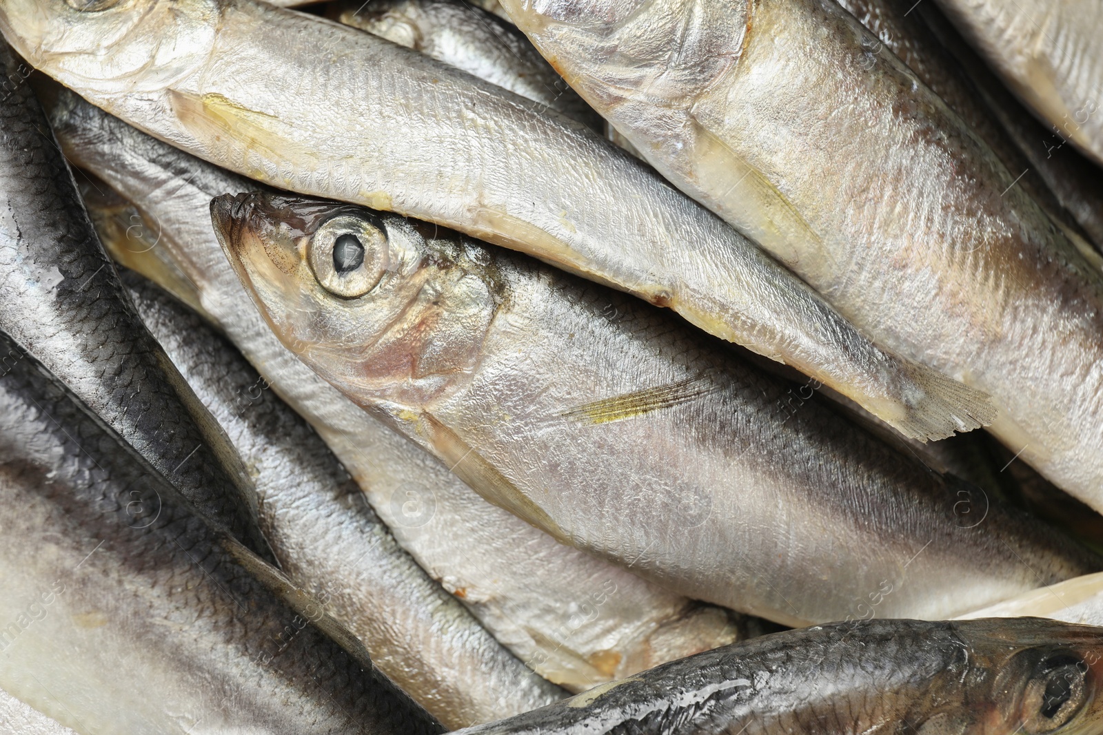 Photo of Fresh raw sprats as background, top view