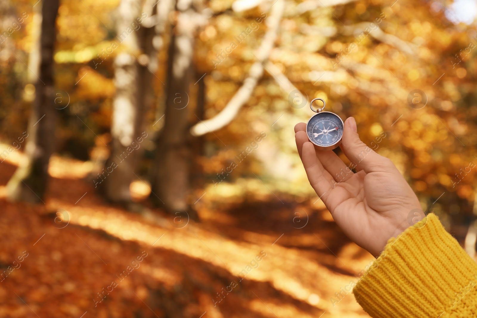 Photo of Traveler searching direction with compass in wilderness, closeup. Space for text