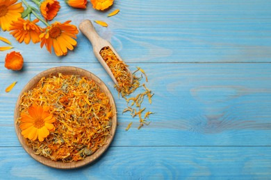 Photo of Dry and fresh calendula flowers on light blue wooden table, flat lay. Space for text