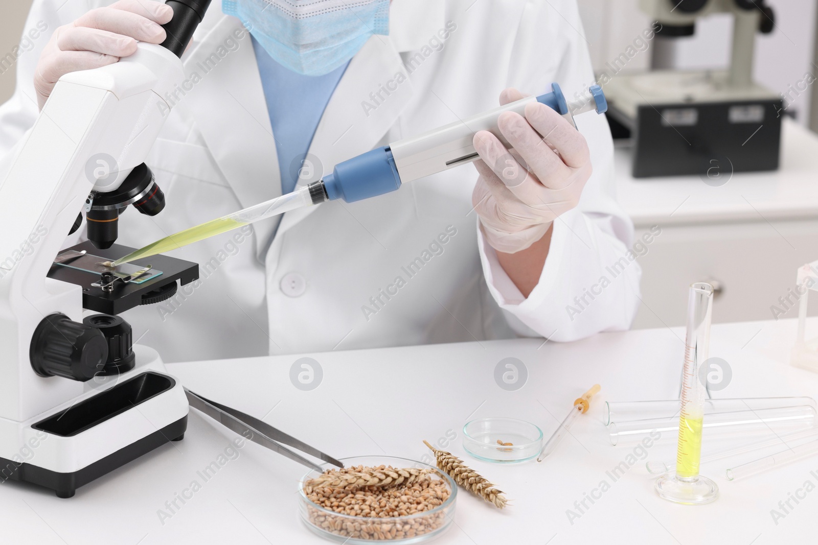 Photo of Quality control. Food inspector examining wheat grain under microscope in laboratory, closeup