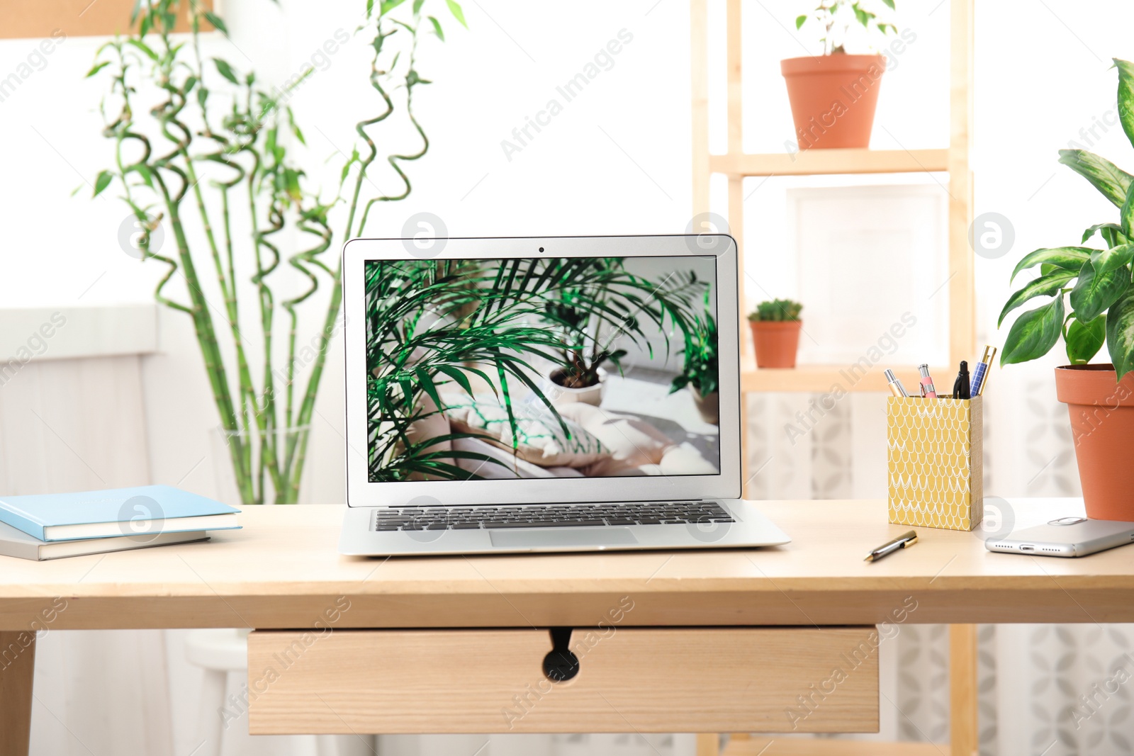 Photo of Houseplants and laptop on table in office interior