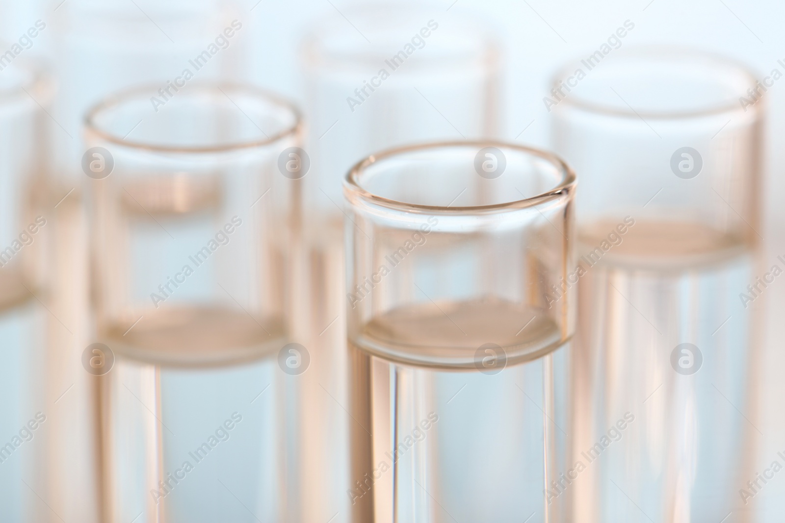 Photo of Laboratory analysis. Many glass test tubes on blurred background, closeup