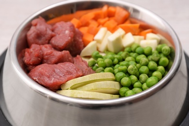 Photo of Closeup view of bowl with organic dog food