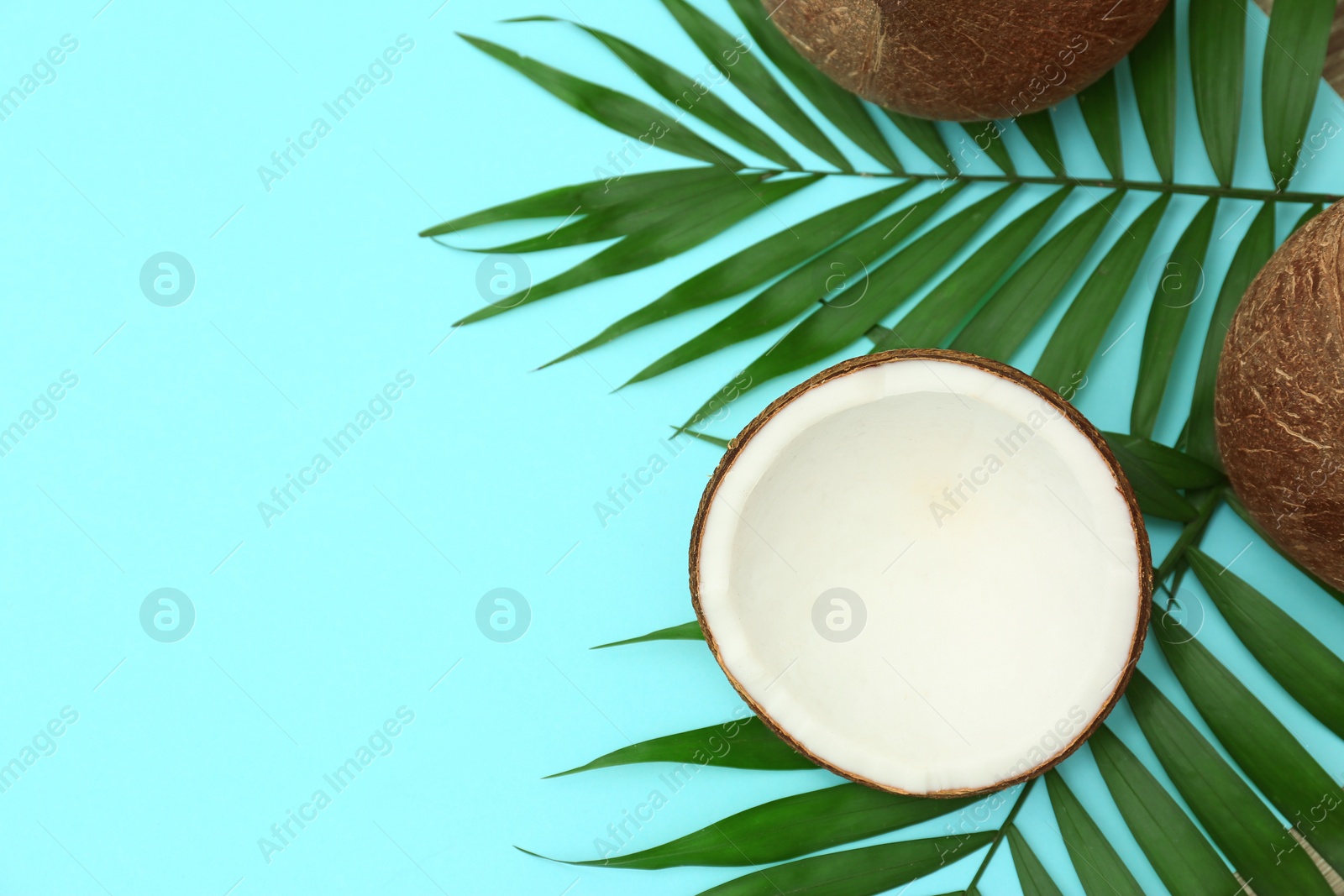 Photo of Fresh coconuts and palm leaves on light blue background, top view. Space for text