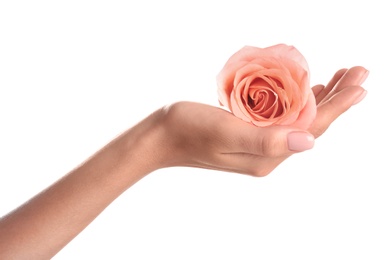 Woman holding rose on white background, closeup. Spa treatment