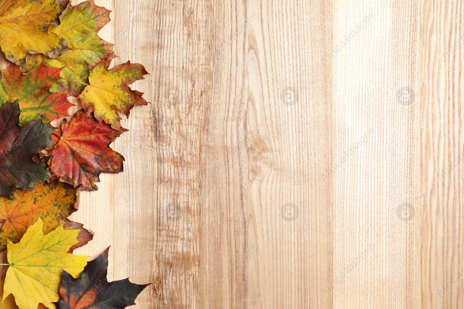 Photo of Dry autumn leaves of maple tree on wooden table, flat lay. Space for text