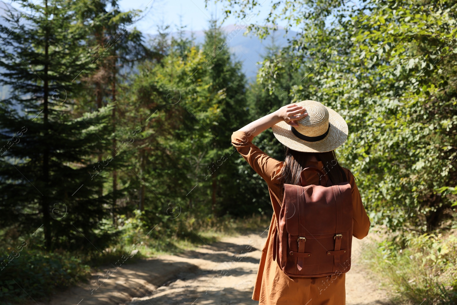 Photo of Woman with backpack and hat walking in forest, back view