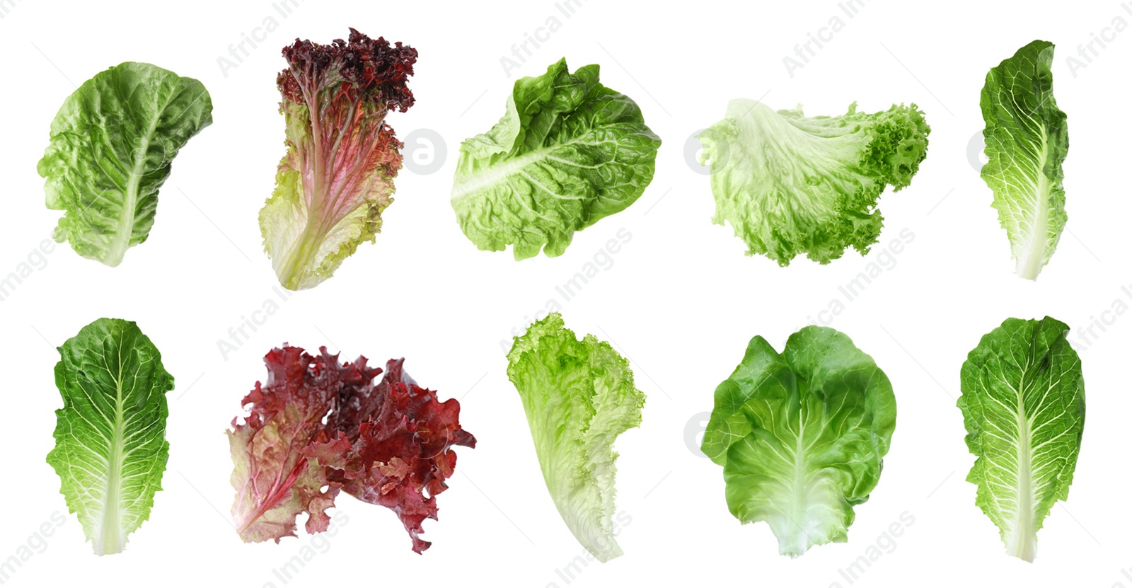 Image of Different types of lettuce isolated on white, collage design