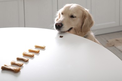 Photo of Cute Golden Retriever at table with dog biscuits in kitchen