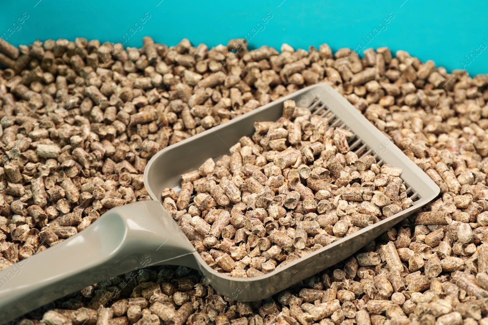 Photo of Cat litter tray with wood pellet filler and scoop, closeup