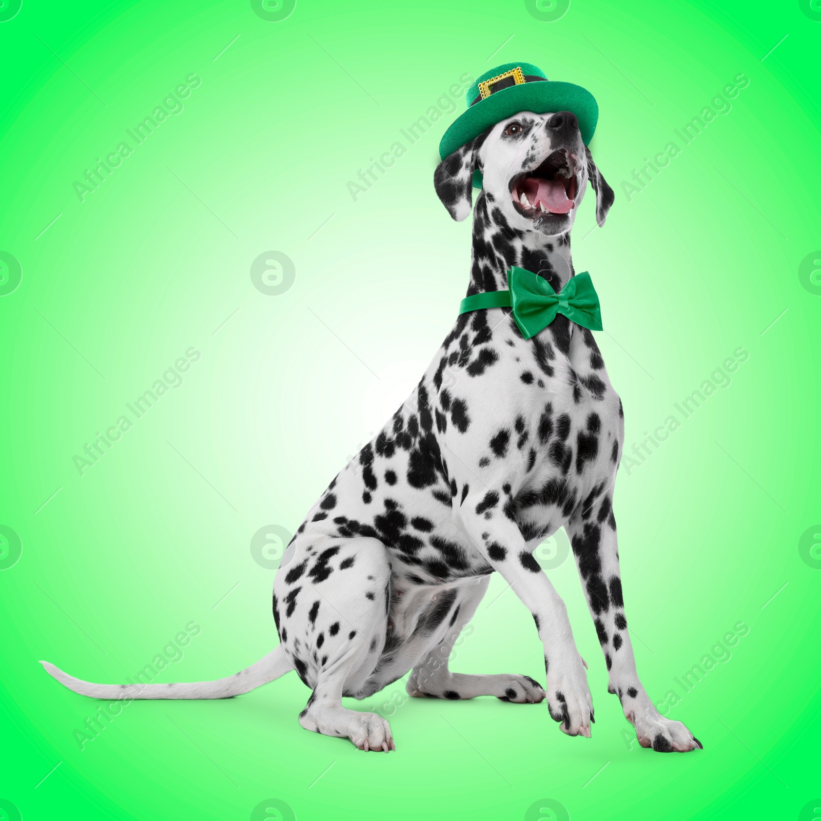 Image of St. Patrick's day celebration. Cute Dalmatian dog with leprechaun hat and bow tie on green background