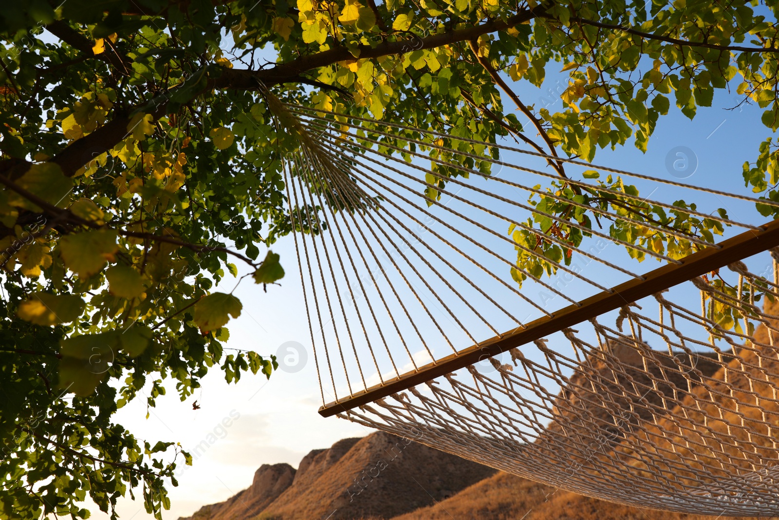 Photo of Empty hammock hanging outdoors. Time to relax