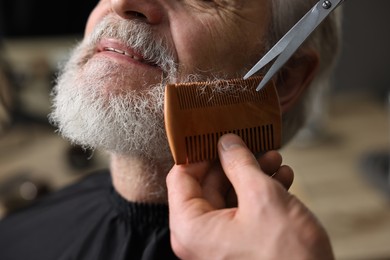 Professional barber trimming client's beard with scissors in barbershop, closeup