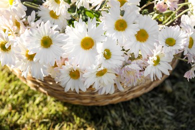 Beautiful wild flowers in wicker basket on green grass outdoors, above view