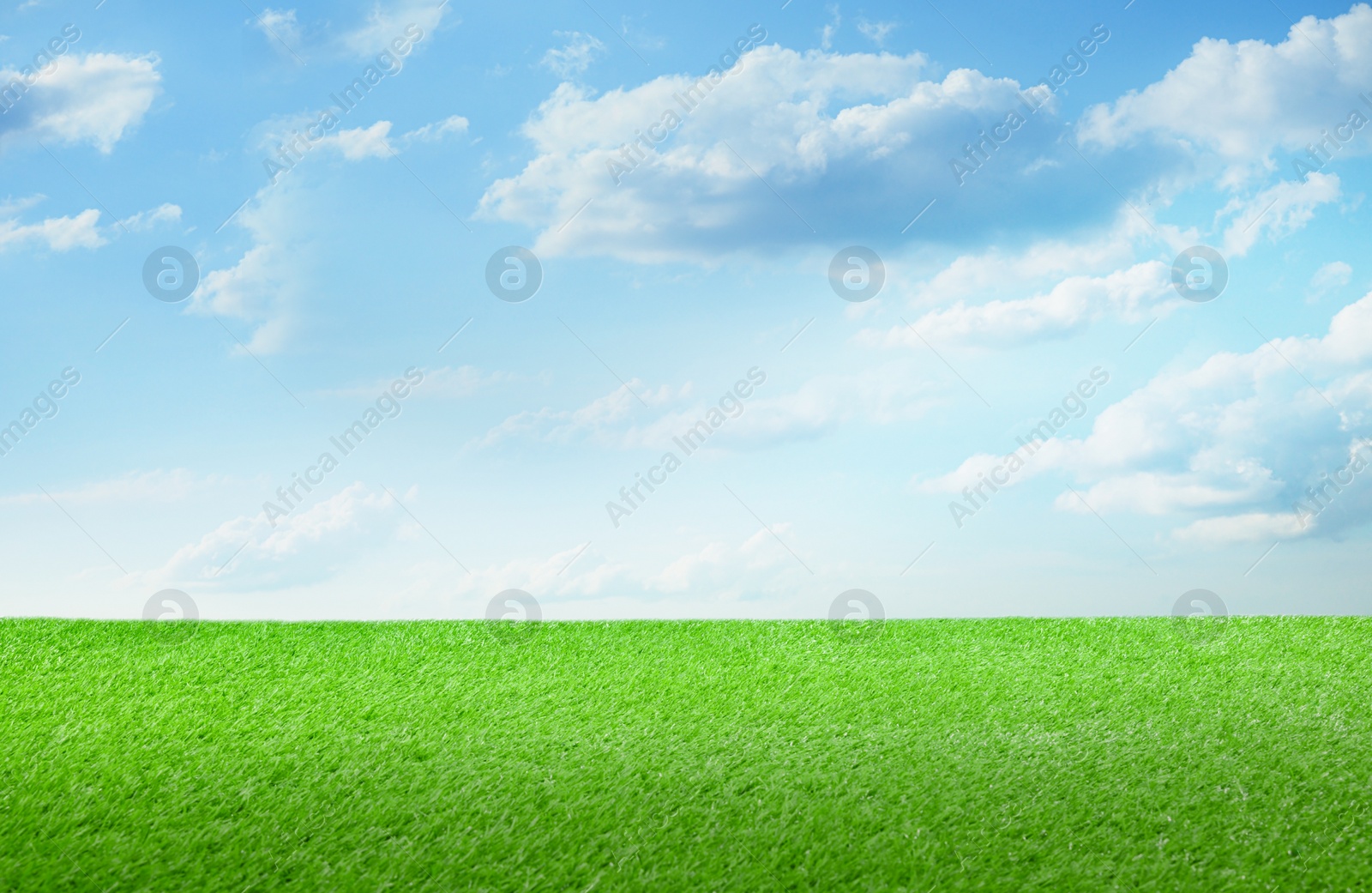 Image of Green grass under blue sky with clouds