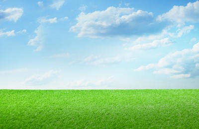 Green grass under blue sky with clouds