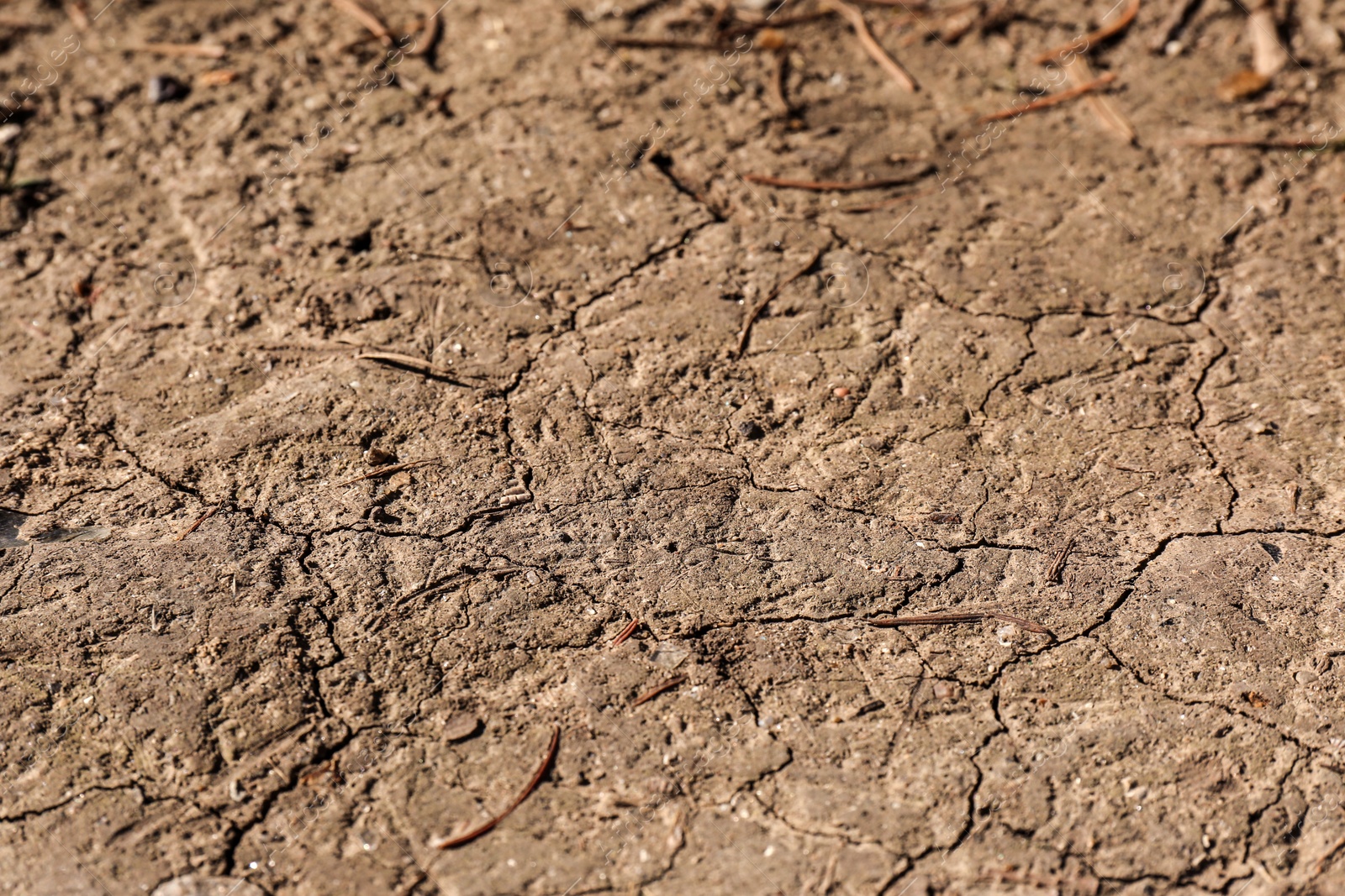 Photo of Cracked ground surface as background, closeup. Thirsty soil