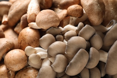 Different fresh wild mushrooms as background, closeup