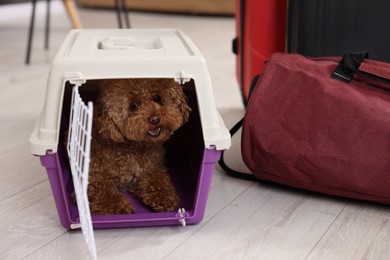 Photo of Travel with pet. Fluffy dog in carrier on floor indoors