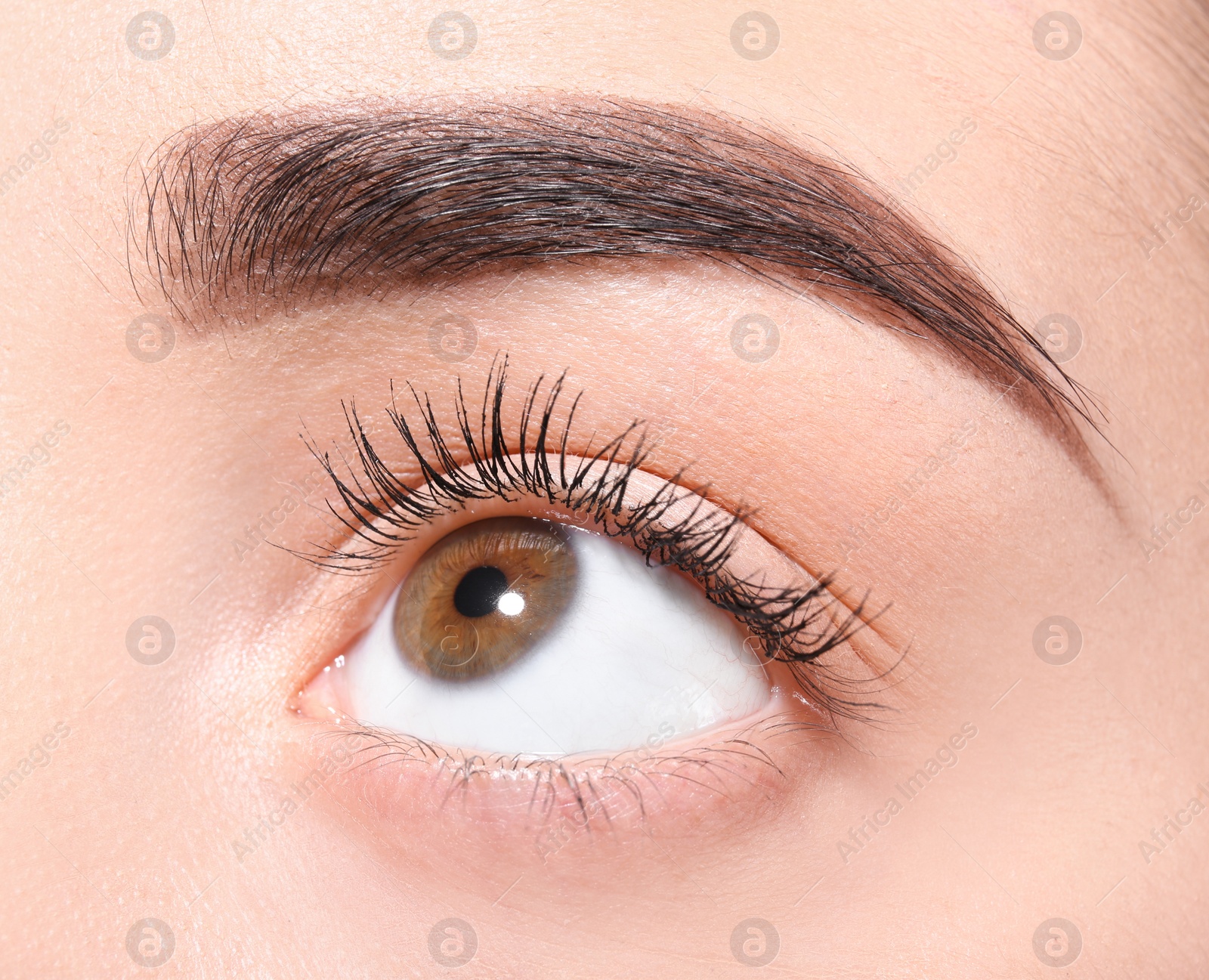 Photo of Beautiful woman with perfect eyebrow, closeup