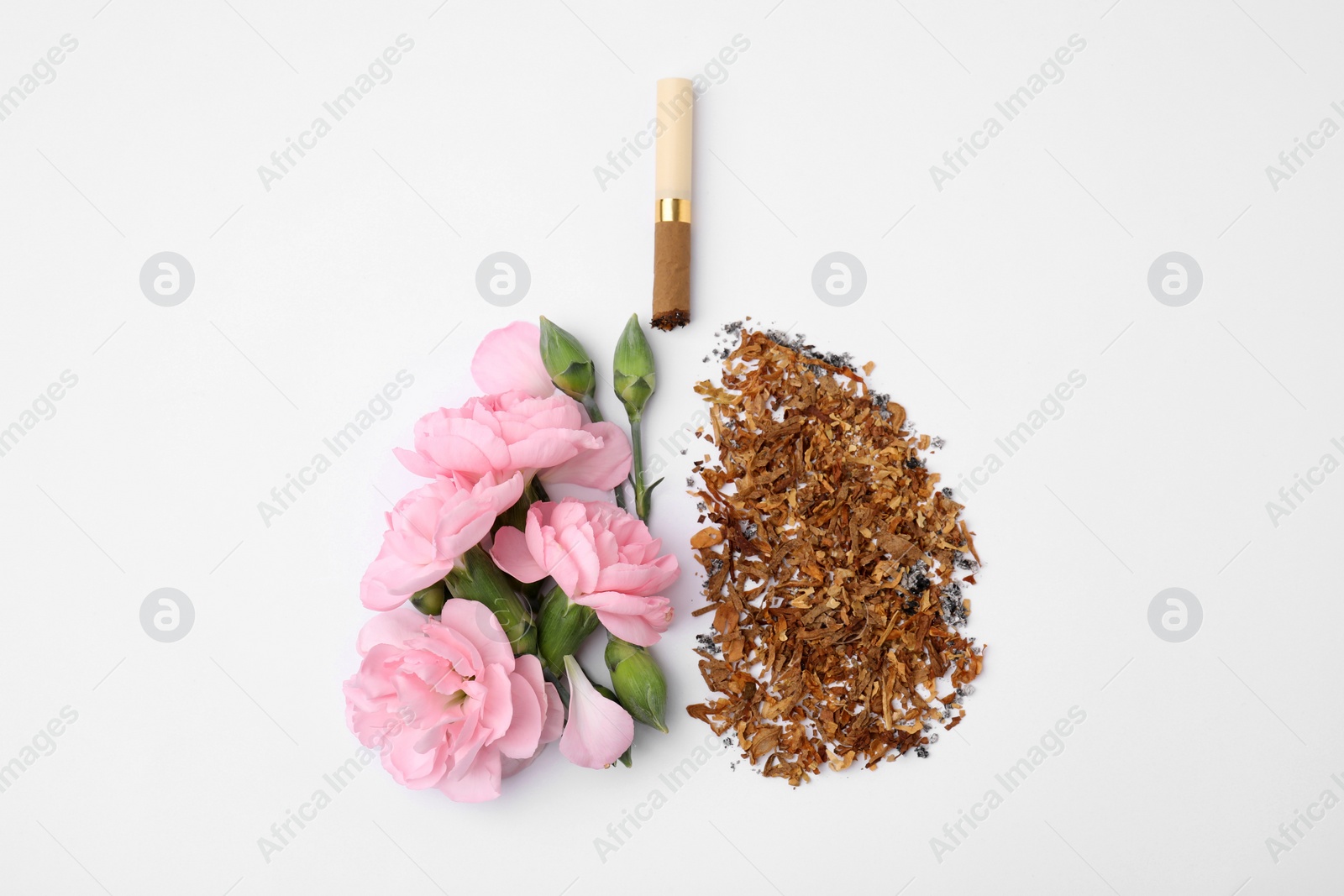 Photo of No smoking concept. Lungs made of dry tobacco, cigarettes and pink flowers on white background, flat lay