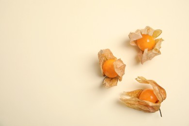 Photo of Ripe physalis fruits with dry husk on beige background, flat lay. Space for text