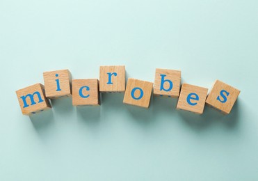 Photo of Word Microbes made with wooden cubes on color background, flat lay