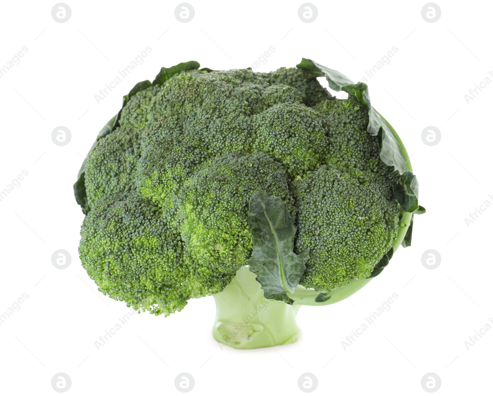 Photo of Fresh green broccoli isolated on white. Organic food