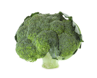 Photo of Fresh green broccoli isolated on white. Organic food