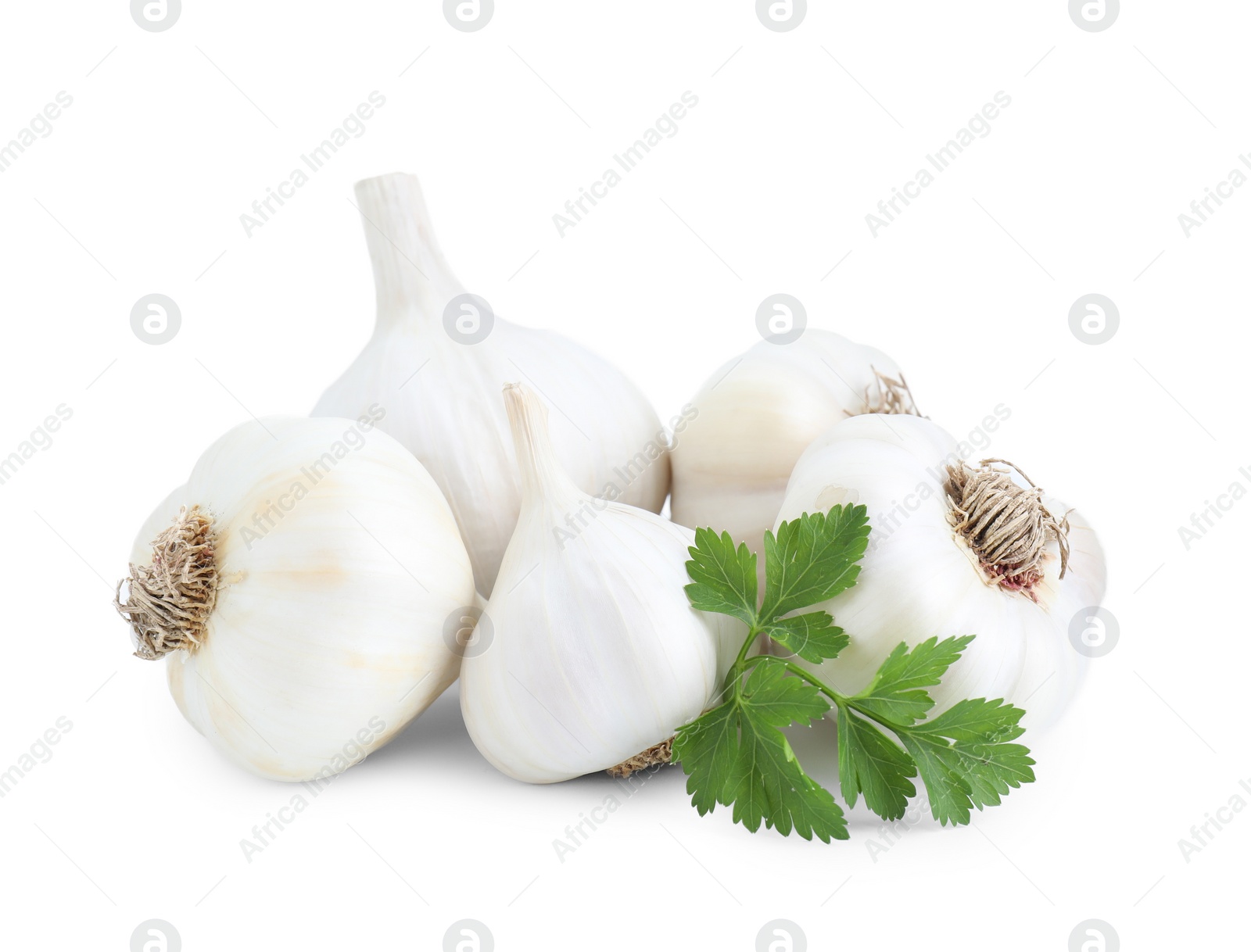 Photo of Fresh garlic heads and parsley isolated on white