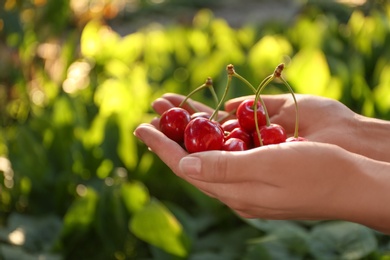 Photo of Woman with tasty ripe cherries outdoors, closeup
