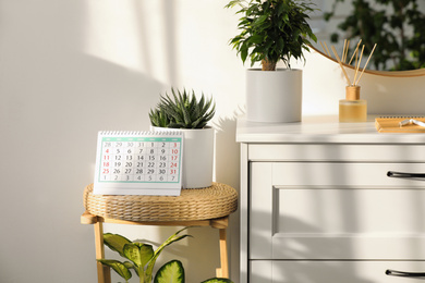 Photo of Paper calendar and succulent on wooden chair indoors