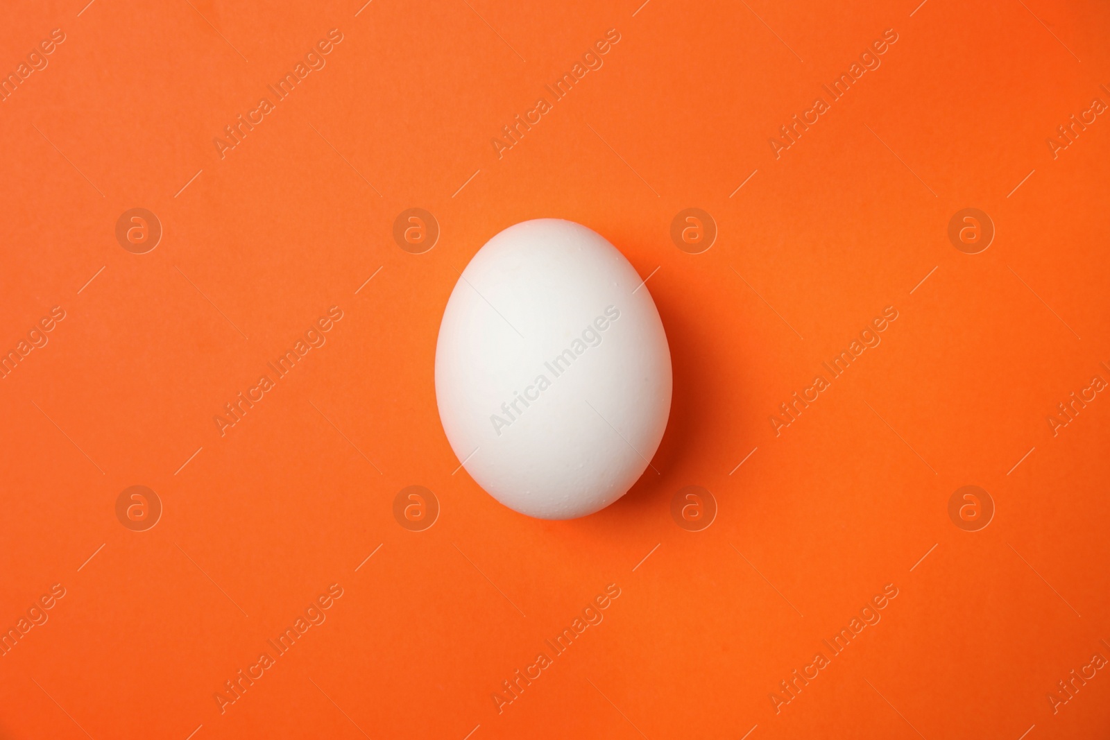 Photo of Raw chicken egg on color background, top view