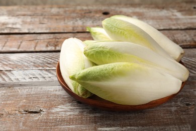 Photo of Fresh raw Belgian endives (chicory) on wooden table, space for text