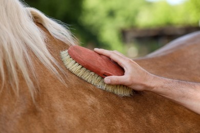 Photo of Man brushing adorable horse outdoors, closeup. Pet care