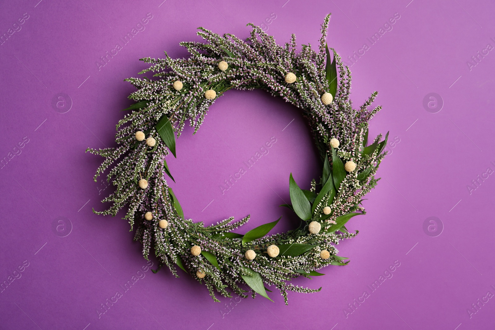 Photo of Beautiful heather wreath on purple background, top view. Autumnal flowers