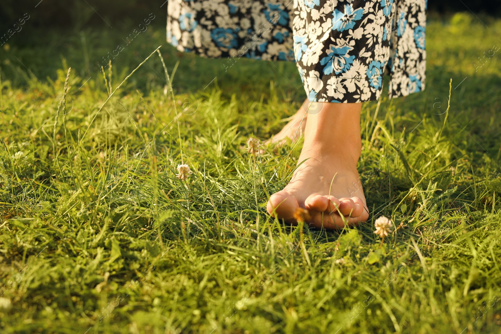 Photo of Woman walking barefoot on green grass, closeup. Space for text