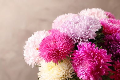 Beautiful aster flower bouquet on color background