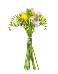 Photo of Bouquet of fresh freesia flowers isolated on white