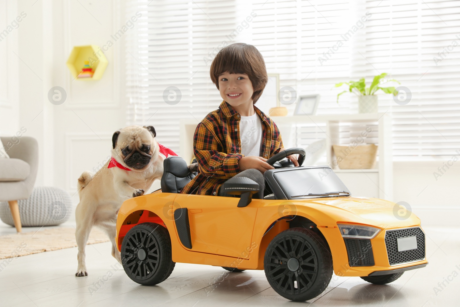 Photo of Little boy with his dog in toy car at home