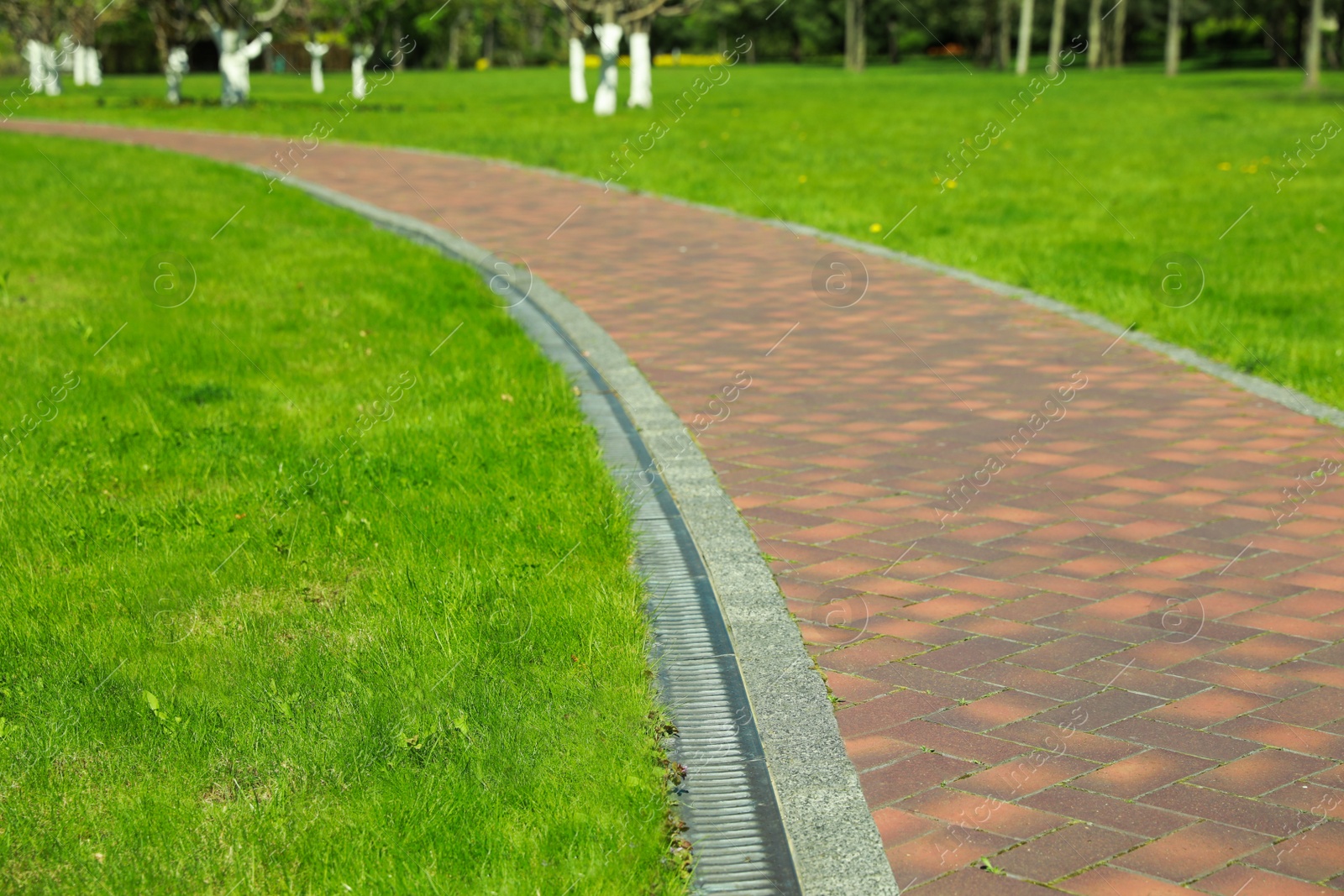 Photo of Picturesque view of beautiful park with fresh green grass and pavement path