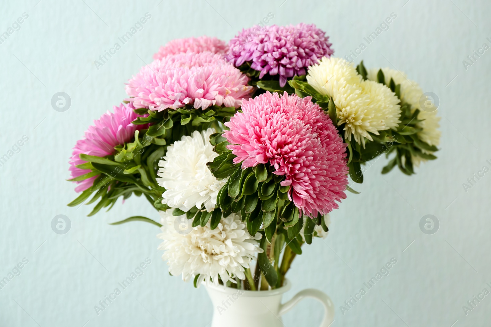 Photo of Bouquet of beautiful asters on light background, closeup. Autumn flowers