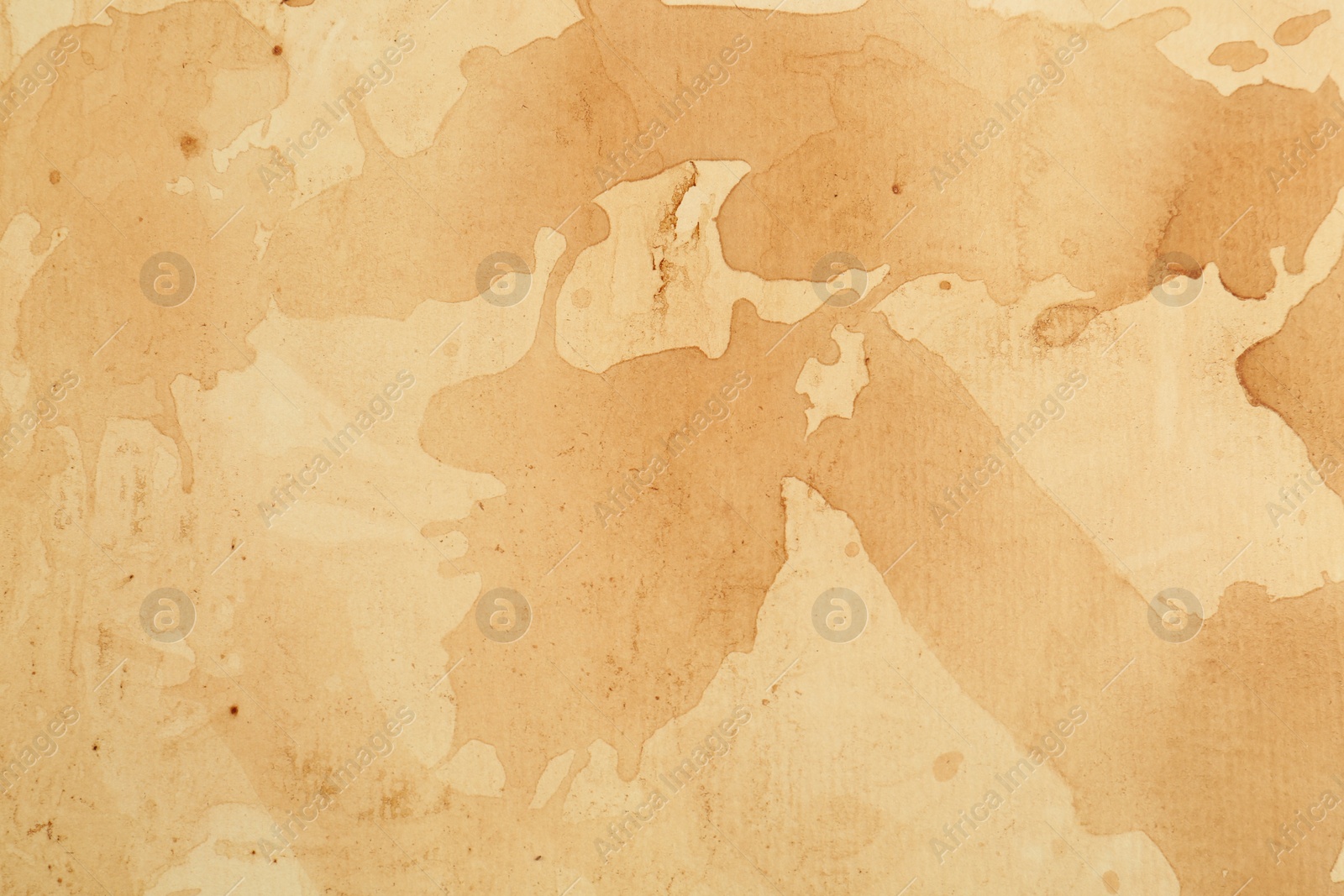 Photo of Sheet of parchment paper as background, top view