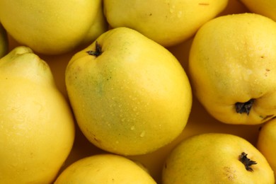 Delicious ripe quinces with water drops as background, top view