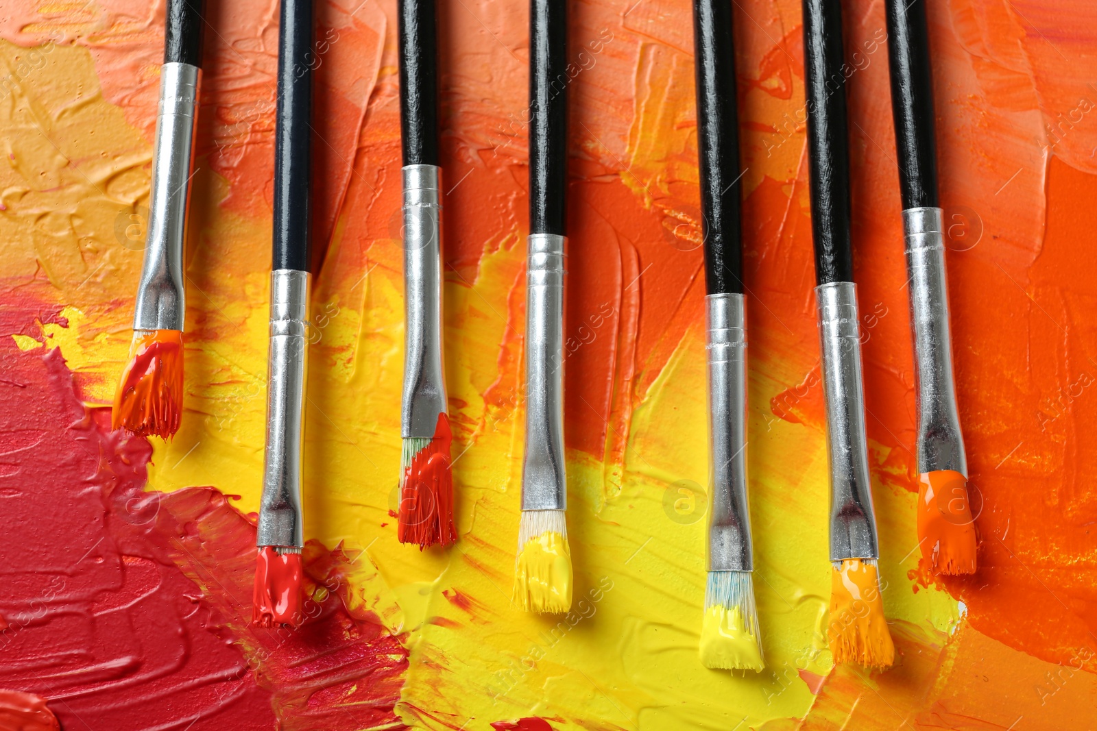 Photo of Set of different brushes on abstract colorful paint, top view