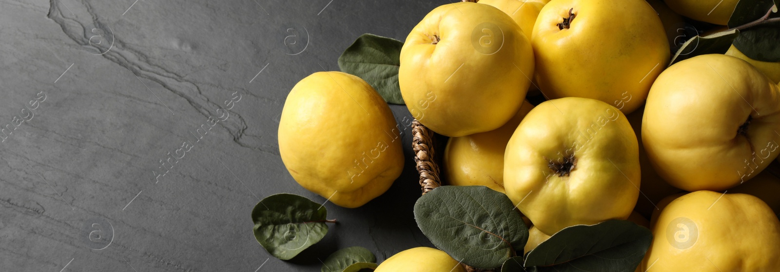 Image of Fresh ripe organic quinces with leaves in wicker basket on black table, above view with space for text. Banner design