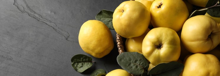 Fresh ripe organic quinces with leaves in wicker basket on black table, above view with space for text. Banner design