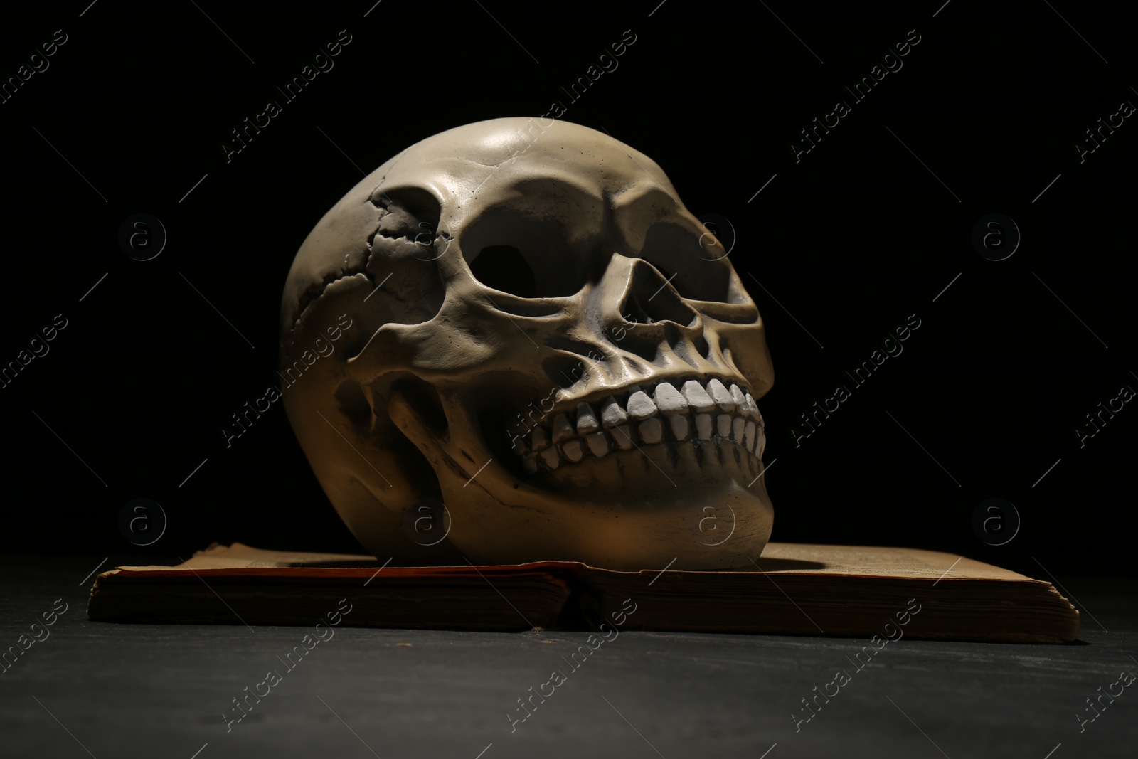 Photo of Human skull on old book against black background