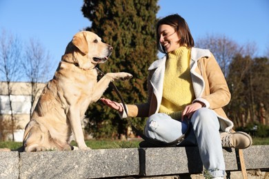 Photo of Adorable Labrador Retriever giving paw to beautiful woman in park